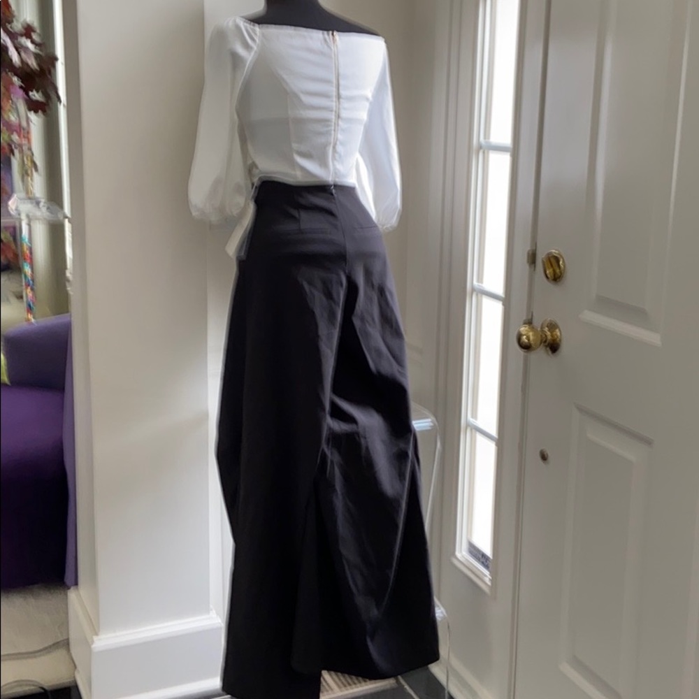 8  NWT RUNWAY ALEXANDER PANTS. S 2 wsist 13.5 inseam 30 - Picture 3 of 10